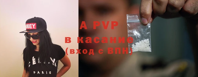 стаф Корсаков