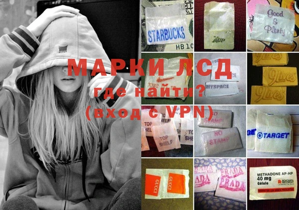 apvp Коряжма