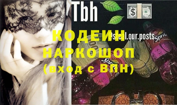 стаф Корсаков