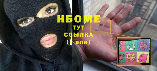 стаф Корсаков